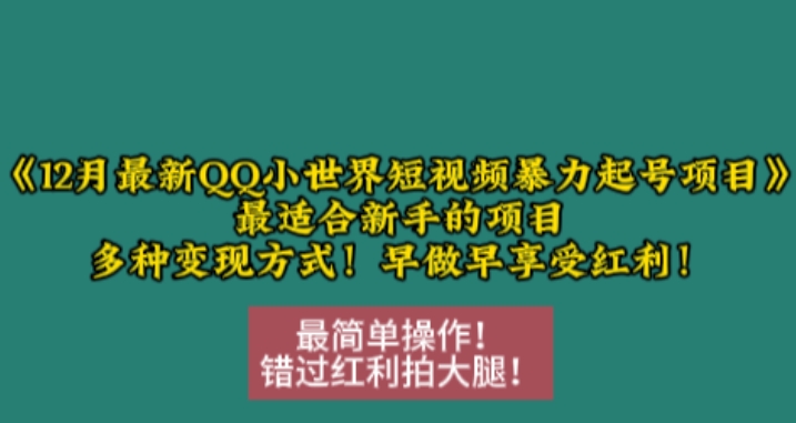 12月最新QQ小世界短视频暴力起号项目，最适合新手的项目，多种变现方式-谷进海小站