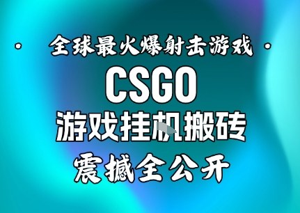 【年底大揭秘】基于全球最火爆的射击CSGO游戏挂G搬砖，日入5张+，震撼公开-谷进海小站