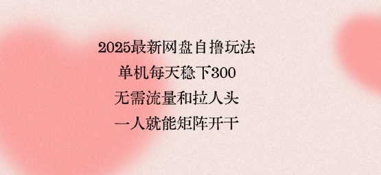 2025最新网盘自撸玩法，单机每天稳下3张，无需流量和拉人头，一个人就可轻松矩阵，全网独一份【揭秘】-谷进海小站
