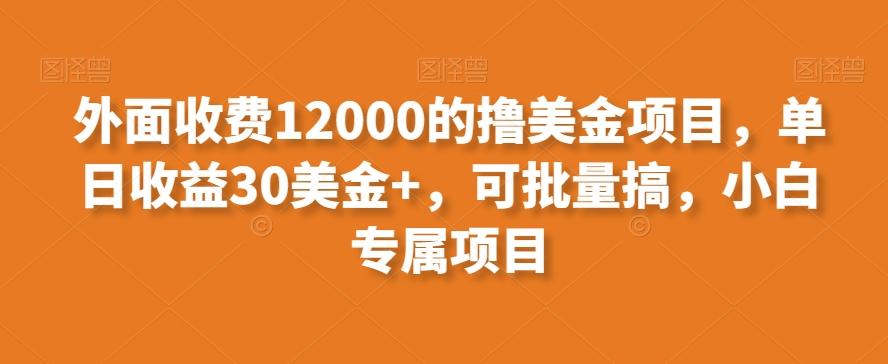 外面收费12000的撸美金项目，单日收益30美金+，可批量搞，小白专属项目-谷进海小站
