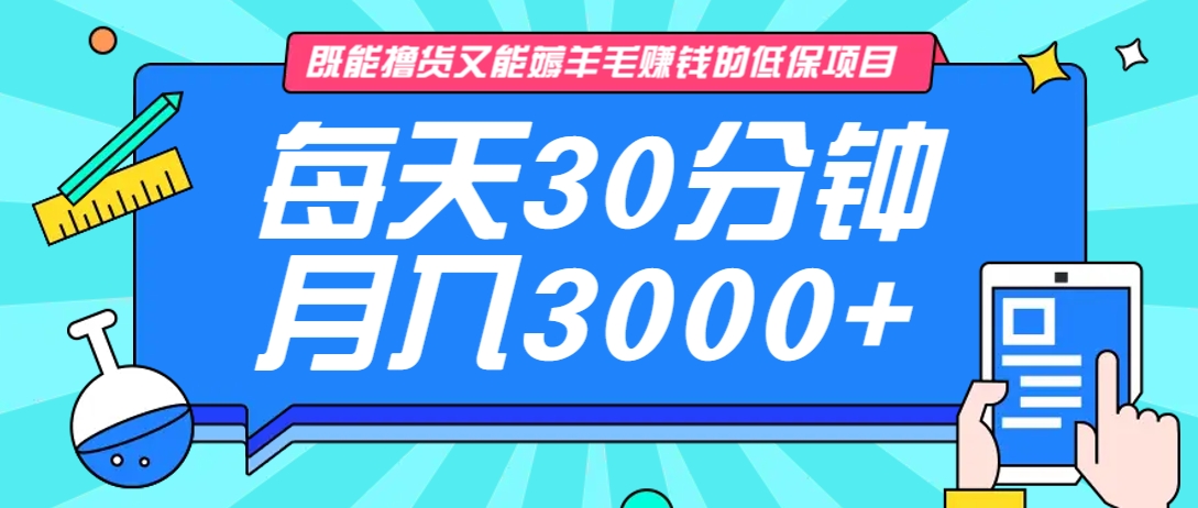 既能撸货又能赚钱的长期低保项目，每天30分钟，多号百分百稳定月入3000+！-谷进海小站
