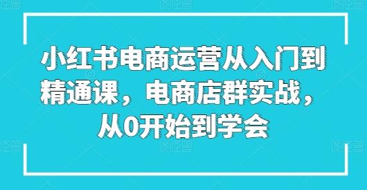 小红书电商运营从入门到精通课，电商店群实战，从0开始到学会-谷进海小站