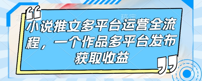 小说推文多平台运营全流程，一个作品多平台发布获取收益-谷进海小站