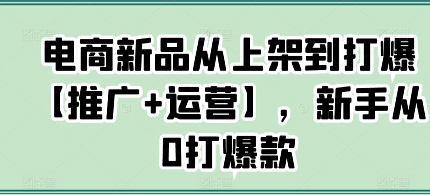 电商新品从上架到打爆【推广+运营】，新手从0打爆款-谷进海小站