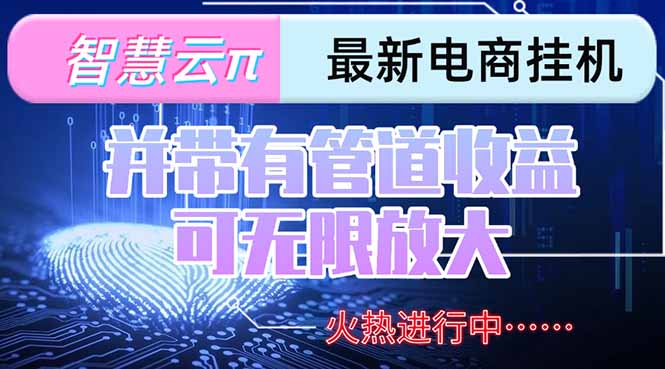 智慧云π电脑挂机单机每天收益300—500+ 并带有团队管道收益 可无限放大-谷进海小站