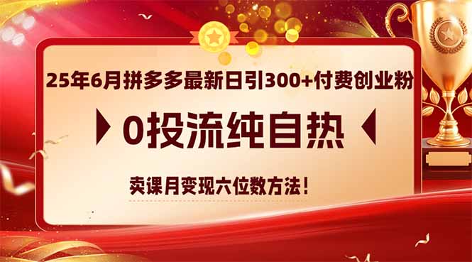 25年6月拼多多最新日引300+付费创业粉，0投流纯自热 卖课月变现六位数方法-谷进海小站