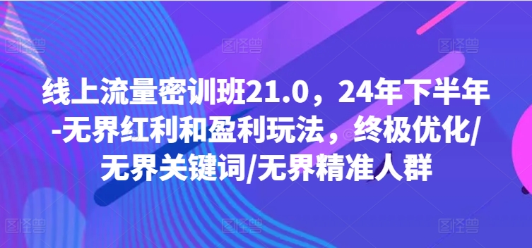 线上流量密训班21.0，24年下半年-无界红利和盈利玩法，终极优化/无界关键词/无界精准人群-谷进海小站