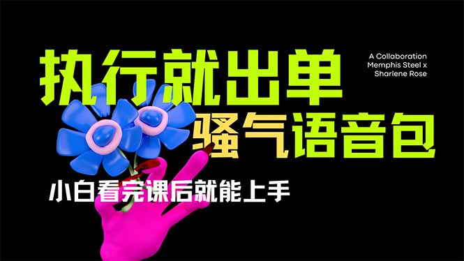 爆火全网的开车导航骚气语音包,只要执行就出单，小白看完课程就能实操…-谷进海小站