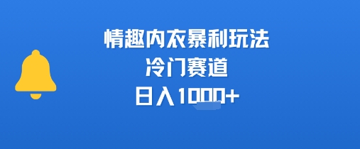 情趣内衣暴利玩法，冷门赛道，日入1k+-谷进海小站