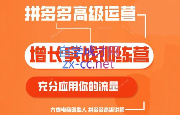 大麦老师·拼多多单品爆款打造课程(更新6月)-谷进海小站