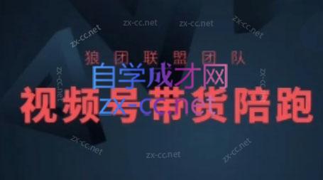 狼团联盟·2024视频号带货-谷进海小站