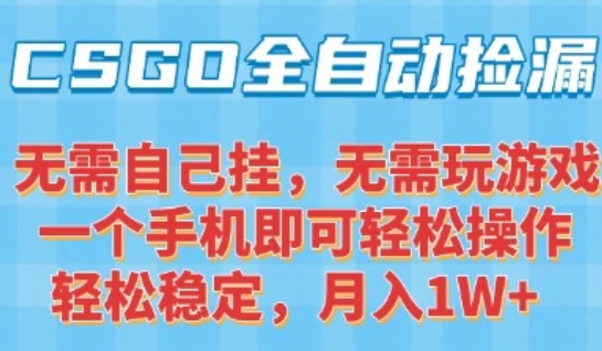 CSGO自动捡漏项目，最新独家玩法，一个手机可操作，新手小白轻松月入1W+，操作简单易上手【揭秘】-谷进海小站