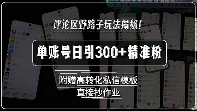 评论区野路子玩法揭秘！单账号日引300+精准粉，附赠高转化私信模板，直…-谷进海小站