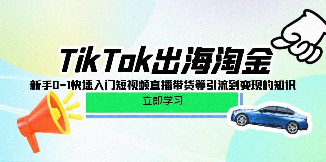(10035期)TikTok-出海淘金，新手0-1快速入门短视频直播带货等引流到变现的知识-谷进海小站