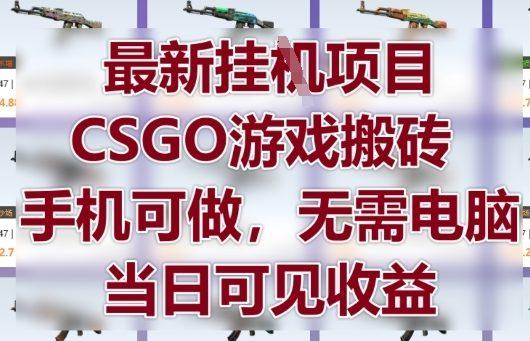 最新挂G项目，CSGO游戏搬砖，手机可做，无需电脑，当日见收益【揭秘】-谷进海小站