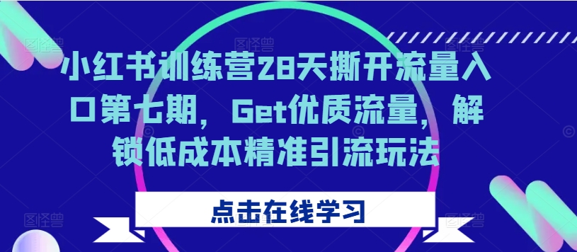 小红书训练营28天撕开流量入口第七期，Get优质流量，解锁低成本精准引流玩法-谷进海小站