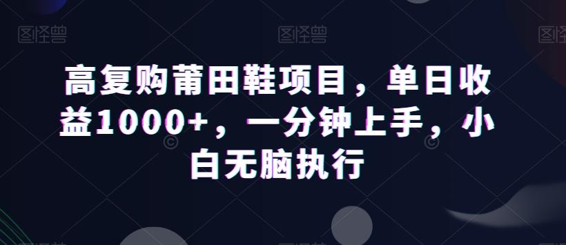 高复购莆田鞋项目，单日收益1000+，一分钟上手，小白无脑执行-谷进海小站