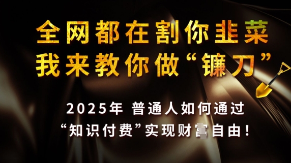 全网都在割你韭菜，我来教你做镰刀，2025普通人如何通过知识付费，实现财F自由【揭秘】-谷进海小站