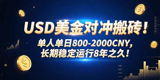 USD美金对冲搬砖!单人单日800-2000CNY，长期稳定运行8年之久!-谷进海小站