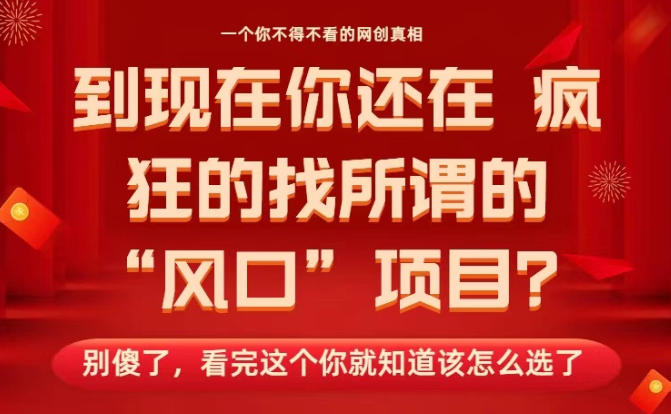马上26年了，你还在找所谓的风口项目？别傻了，看完这个你全都懂了！【揭秘】-谷进海小站