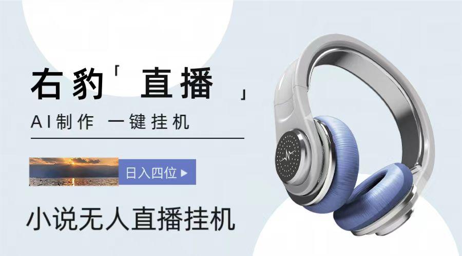 右豹小说无人直播挂机吸金项目，简单易行收益稳定， 月入1000+-谷进海小站