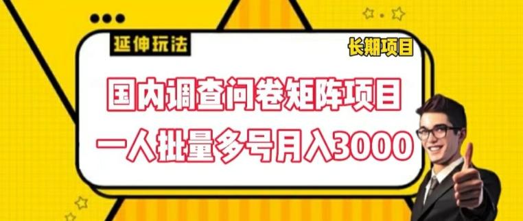 国内调查问卷矩阵项目，一人批量多号月入3000【揭秘】-谷进海小站