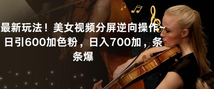 最新玩法！美女视频分屏逆向操作~日引600加色粉，日入700加，条条爆【揭秘】-谷进海小站