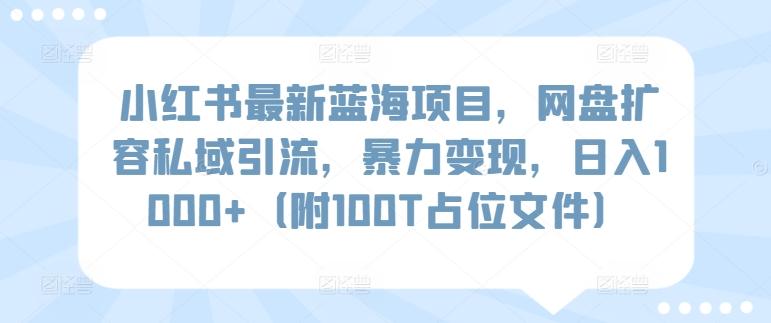 小红书最新蓝海项目，网盘扩容私域引流，暴力变现，日入1000+(附100T占位文件)【揭秘】-谷进海小站