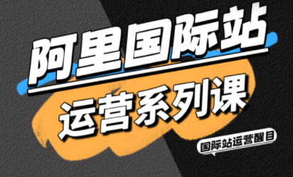 醒目老师·阿里国际站运营系列课(更新11月)-谷进海小站