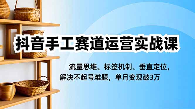 抖音手工赛道运营实战课，流量思维、标签机制、垂直定位，解决不起号难题，单月变现破3万-谷进海小站