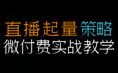 半野老师·直播带货起量与微付费必学课视频号-谷进海小站