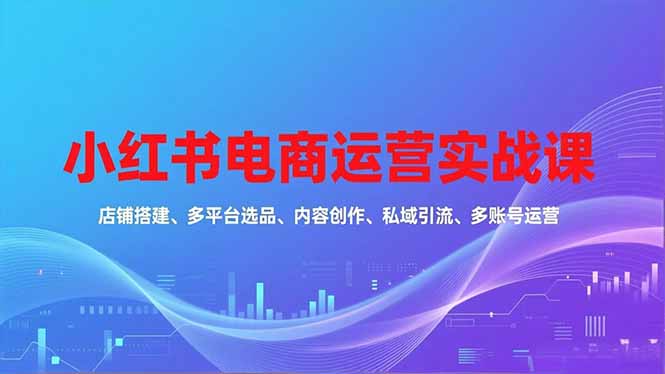 小红书电商运营实战课，店铺搭建、多平台选品、内容创作、私域引流、多账号运营等玩法-谷进海小站