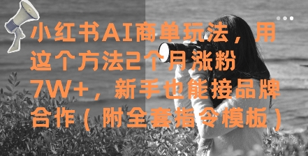 小红书AI商单玩法，用这个方法2个月涨粉7W+，新手也能接品牌合作(附全套指令模板)-谷进海小站