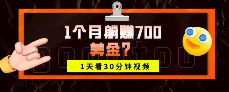 1天看30分钟视频，1个月躺赚700美金？-谷进海小站