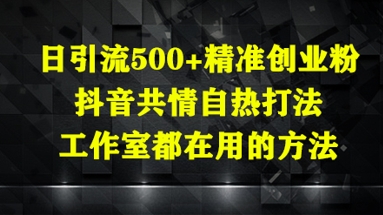 日引流500+精准创业粉，抖音共情自热打法，工作室都在用的方法-谷进海小站