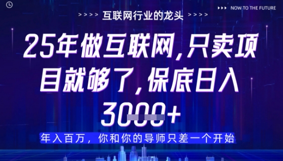 什么！25年你还在找项目做？风口早就变了，卖项目才是稳挣不赔【揭秘】-谷进海小站