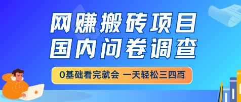 网创搬砖项目，国内问卷调查，小白轻松上手，一天三四张的也不难，干就完了【揭秘】-谷进海小站