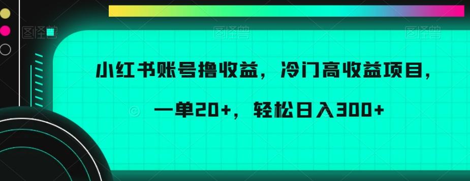 小红书账号撸收益，冷门高收益项目，一单20+，轻松日入300+【揭秘】-谷进海小站