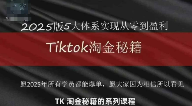 TikTok跨境2025淘金秘籍，​2025TikTok从0到盈利变现-谷进海小站