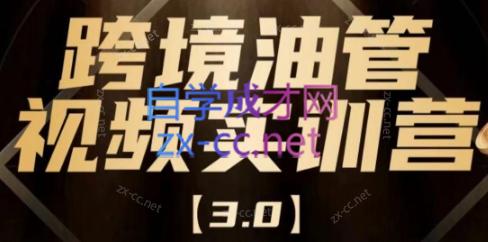 阿蔺Leo·跨境油管视频YouTube实训营(更新2025)-谷进海小站