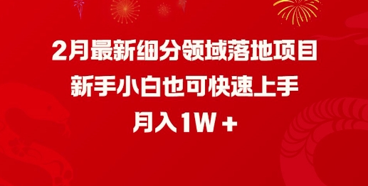2月最新细分领域落地项目，新手小白也可快速上手，月入1W-谷进海小站