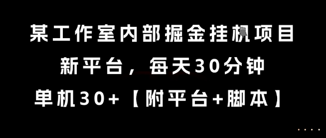某工作室内部掘金挂G项目，新平台，每天30分钟，单机30+【揭秘】-谷进海小站