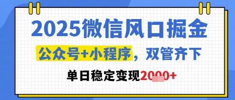 2025微信风口掘金，公众号+小程序双管齐下，单日稳定变现1k+【揭秘】-谷进海小站