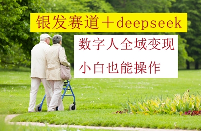 银发赛道+deepseek数字人全域变现，小白也能操作-谷进海小站