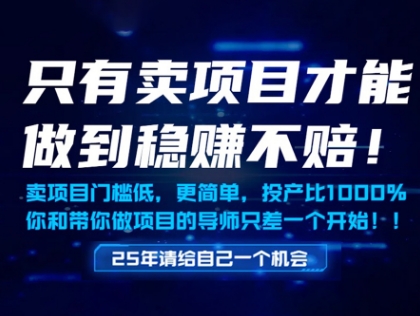 只有卖项目才能做到稳挣不赔，门槛低，更简单，你也可以年入百个W【揭秘】-谷进海小站