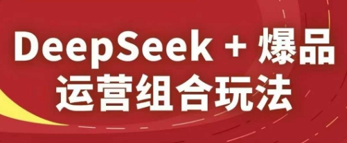 DeepSeek+爆品运营组合玩法，2025淘系精品课-谷进海小站