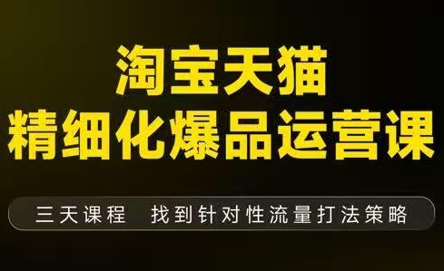 猫课子幽·淘宝天猫精细化爆品运营【音频+字幕+文档】(9月12-14杭州线下课)-谷进海小站