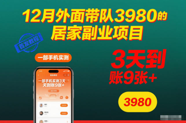 12月外面带队3980的居家副业项目，一部手机实测3天到账9张+，首发教程【揭秘】-谷进海小站