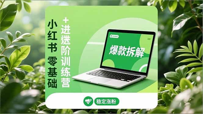 小红书零基础+高阶训练营：安全养号、爆款拆解、长效运营，实现稳定涨粉与变现-谷进海小站