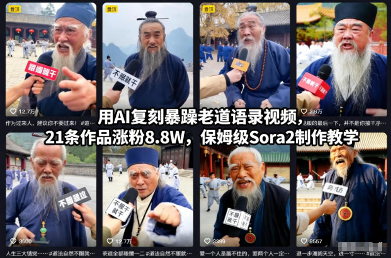 用AI复刻暴躁老道语录视频，21条作品涨粉8.8W，保姆级Sora2制作教学-谷进海小站